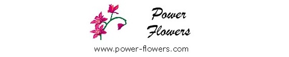 Toronto Wedding Florist is a presentation of wedding flower arrangements by Power Flowers florist in Toronto