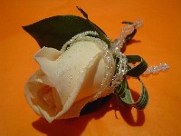 Boutonniere by Toronto Wedding Florist