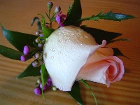 Boutonniere by Toronto Wedding Florist