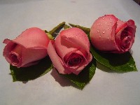 Boutonniere by Toronto Wedding Florist