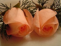 Boutonniere by Toronto Wedding Florist