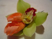 Boutonniere by Toronto Wedding Florist