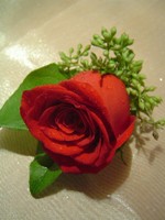 Boutonniere by Toronto Wedding Florist