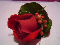 Boutonniere by Toronto Wedding Florist