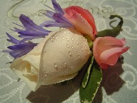 Boutonniere by Toronto Wedding Florist