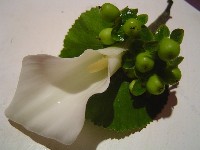 Boutonniere by Toronto Wedding Florist