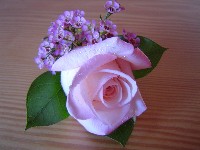 Boutonniere by Toronto Wedding Florist