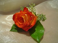 Boutonniere by Toronto Wedding Florist