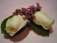 Boutonniere by Toronto Wedding Florist