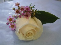 Boutonniere by Toronto Wedding Florist