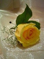 Boutonniere by Toronto Wedding Florist