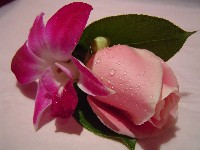 Boutonniere by Toronto Wedding Florist