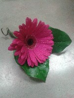 Boutonniere by Toronto Wedding Florist