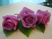 Boutonniere by Toronto Wedding Florist