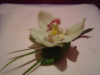 Boutonniere by Toronto Wedding Florist