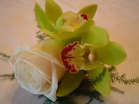 Boutonniere by Toronto Wedding Florist