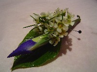 Boutonniere by Toronto Wedding Florist