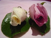 Boutonniere by Toronto Wedding Florist