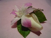 Boutonniere by Toronto Wedding Florist
