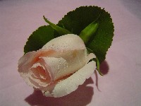 Boutonniere by Toronto Wedding Florist