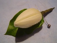 Boutonniere by Toronto Wedding Florist