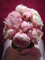 Bridal bouquet by Toronto Wedding Florist