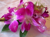 Corsage by Toronto Wedding Florist