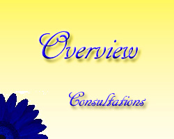 Consulations with Toronto Wedding Florist