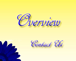 Contact Toronto Wedding Florist