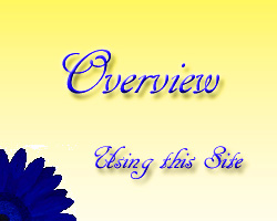 Using Toronto Wedding Florist